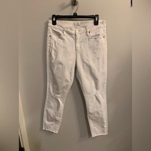 Loft Curvy Skinny Crop